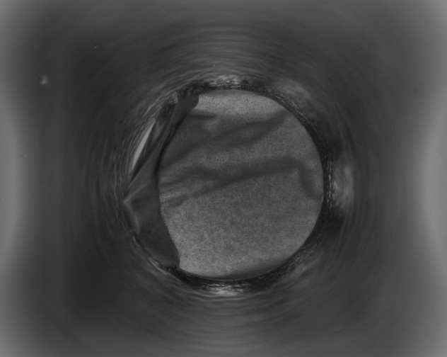 X0000082990616200703020845