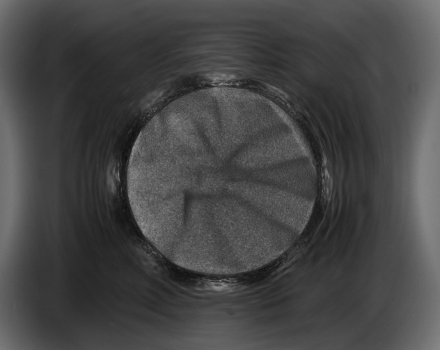 X0000082990618200703020845