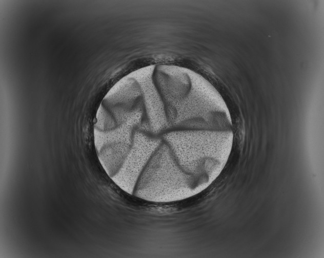 X0000082990619200703020845