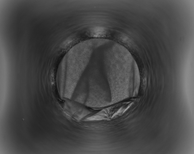 X0000082990620200703020845