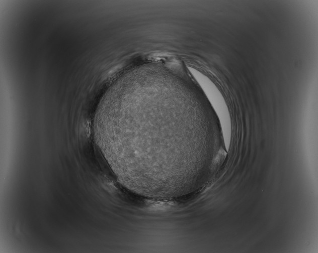 X0000082990621200703020845