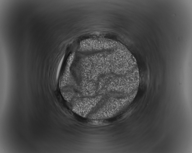 X0000082990623200703020845