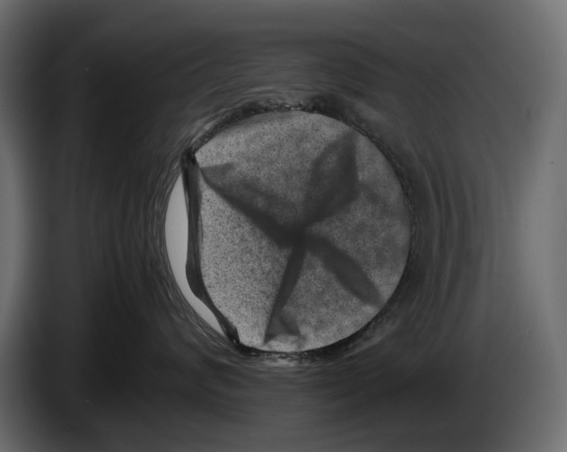 X0000082990624200703020845