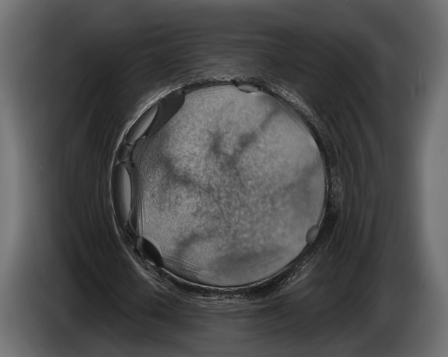 X0000082990626200703020845