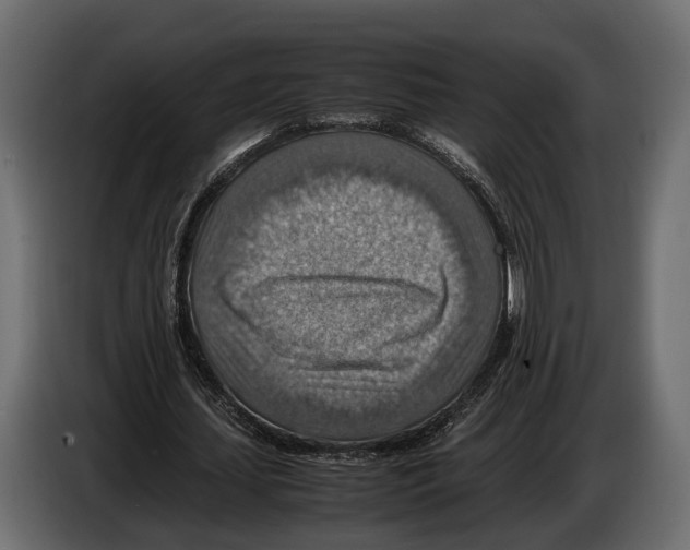 X0000082990627200703020845