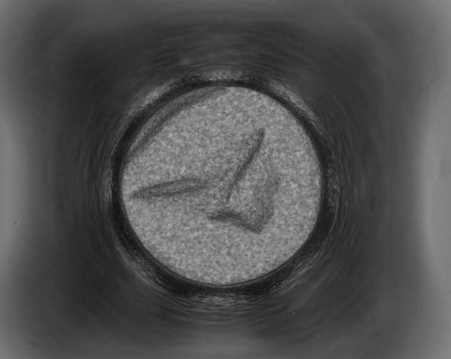 X0000082990631200703020845