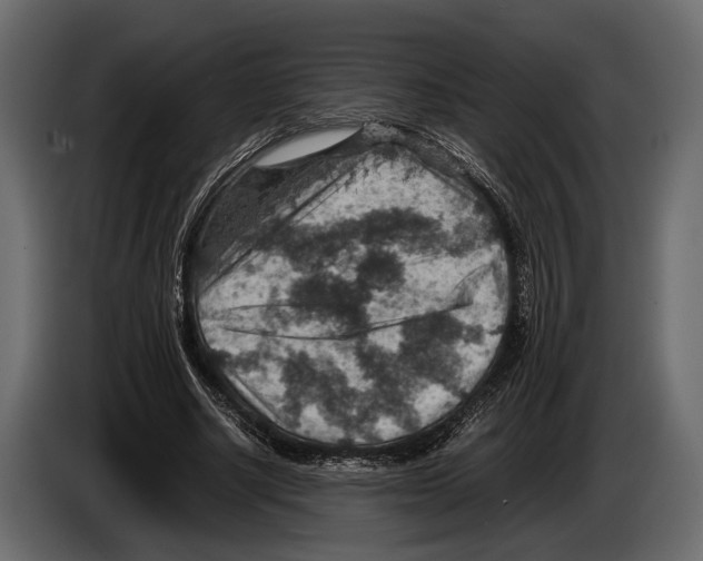 X0000082990634200703020845