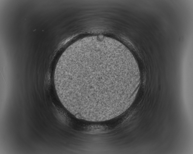 X0000082990636200703020845