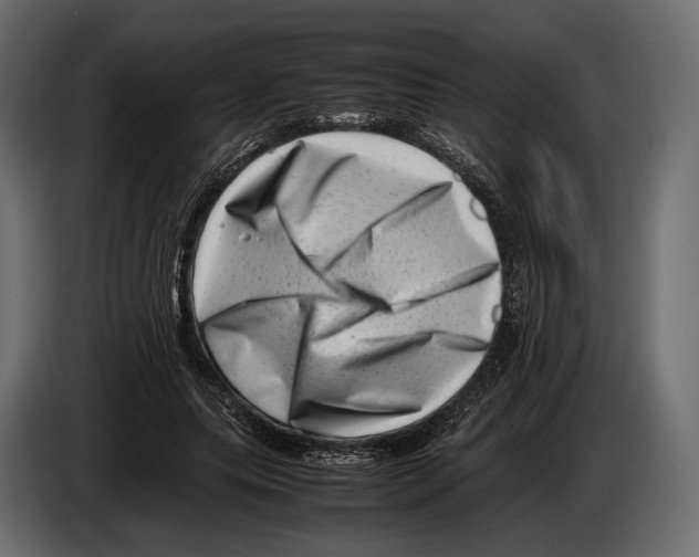 X0000082990639200703020845