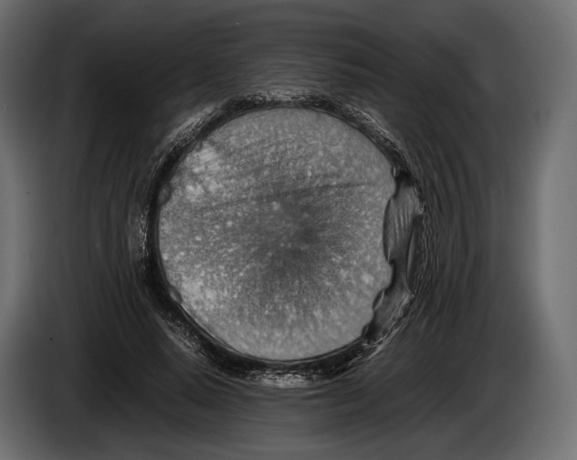 X0000082990640200703020845