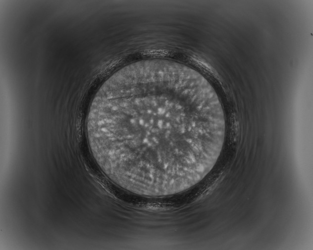 X0000082990641200703020845