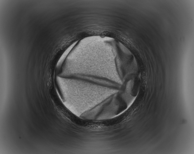 X0000082990642200703020845