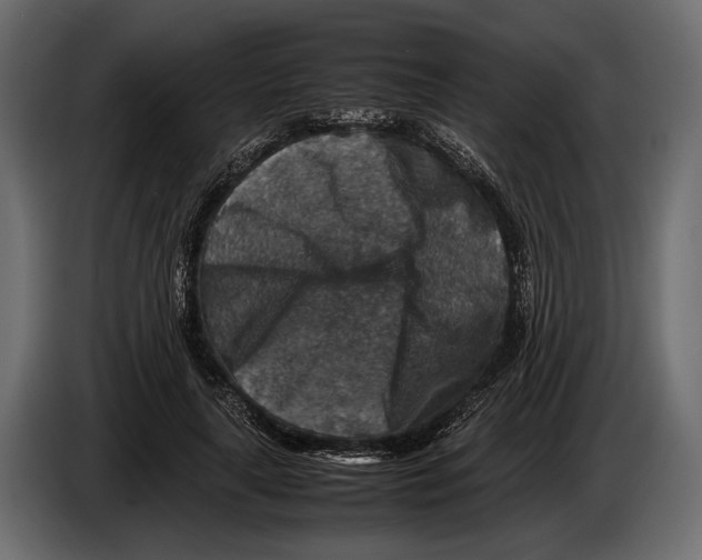 X0000082990643200703020845