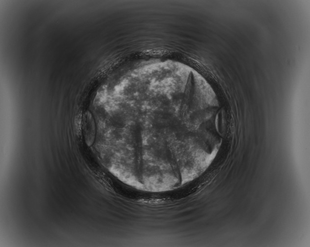 X0000082990647200703020845