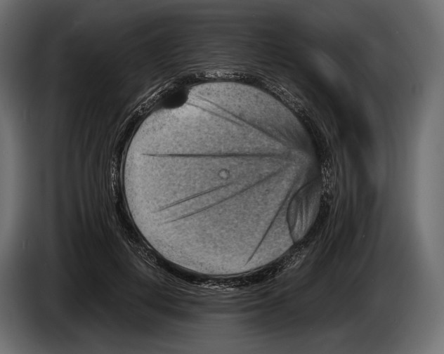 X0000082990648200703020845