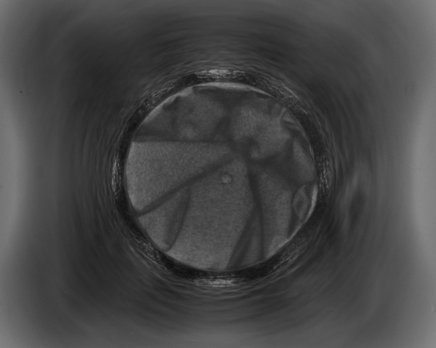 X0000082990651200703020845