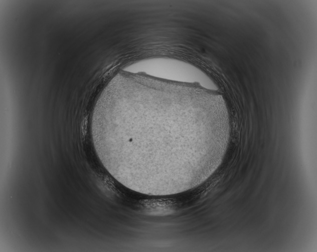 X0000082990652200703020845