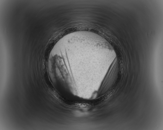 X0000082990654200703020845