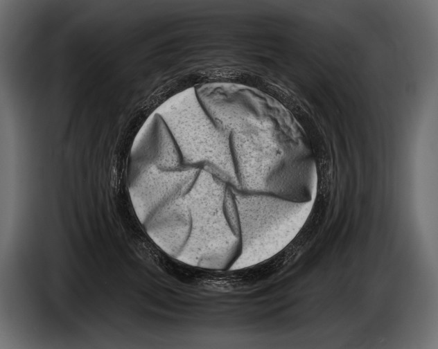 X0000082990655200703020845