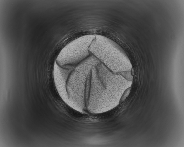 X0000082990656200703020845