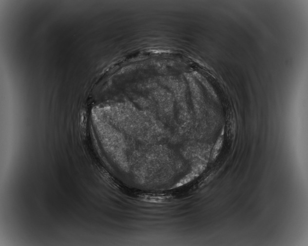 X0000082990661200703020845