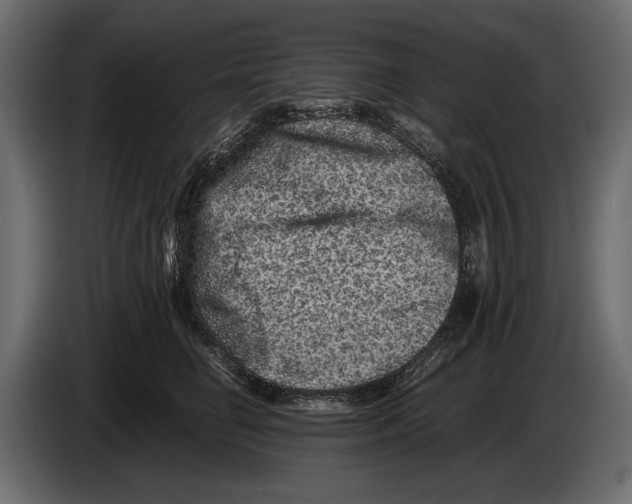 X0000082990662200703020845