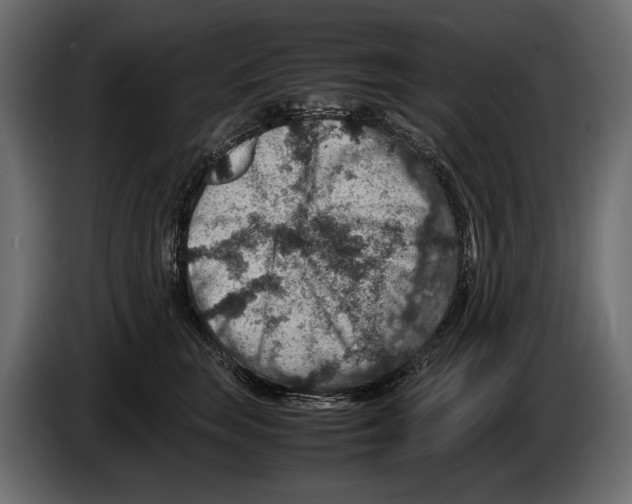 X0000082990663200703020845