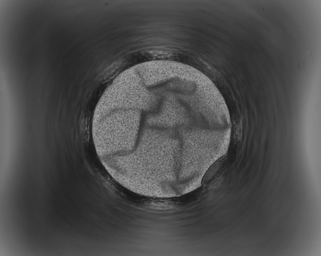 X0000082990666200703020845