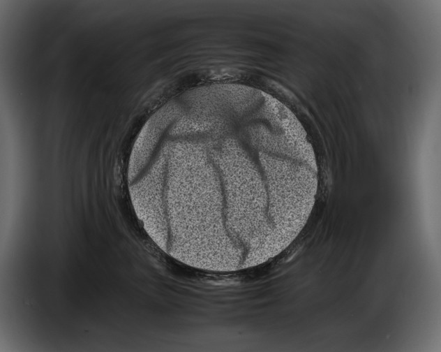 X0000082990667200703020845