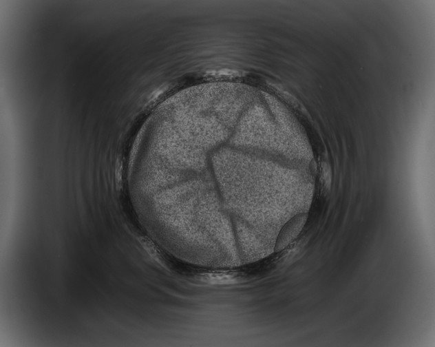 X0000082990668200703020845