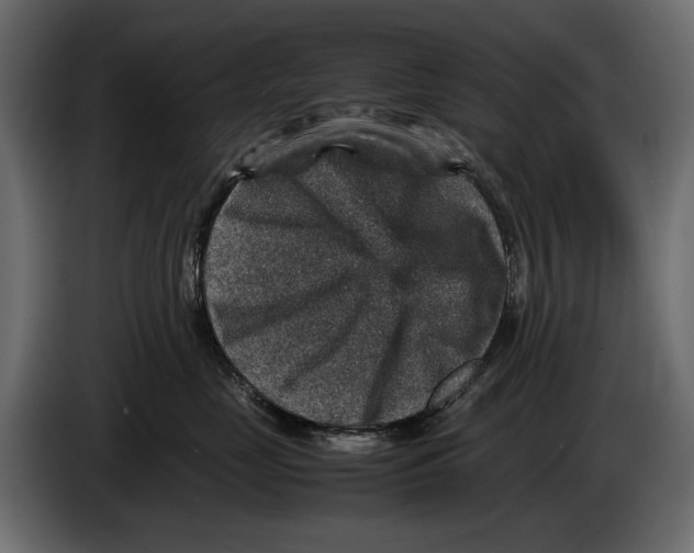 X0000082990669200703020845