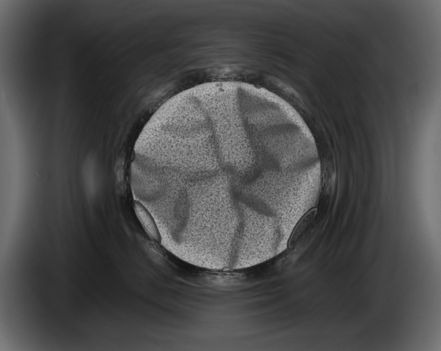 X0000082990670200703020845