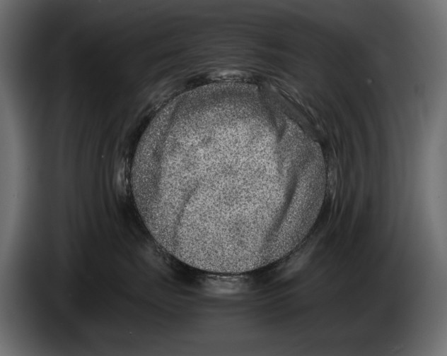 X0000082990671200703020845