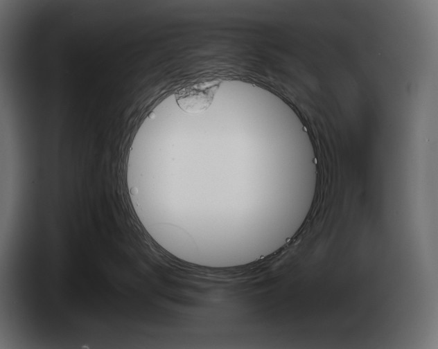 X0000082990672200703020845