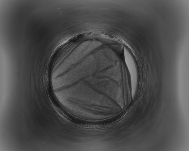 X0000082990677200703020845