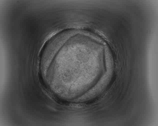 X0000082990679200703020845