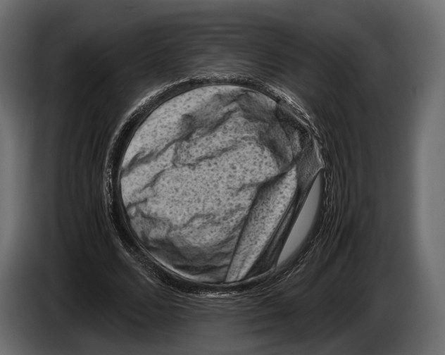 X0000082990680200703020845