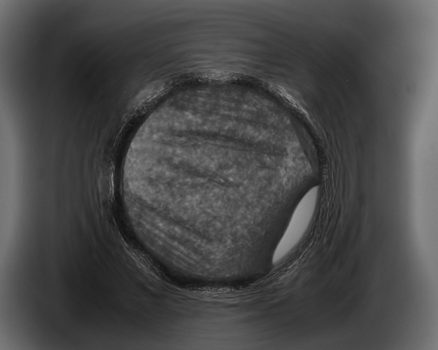 X0000082990685200703020845