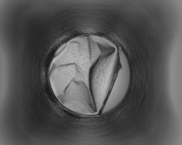 X0000082990688200703020844