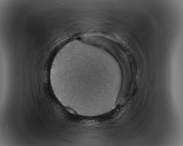 X0000082990689200703020844