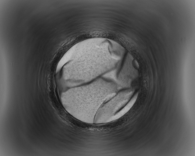 X0000082990690200703020844