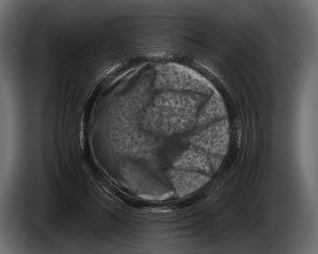 X0000082990692200703020844