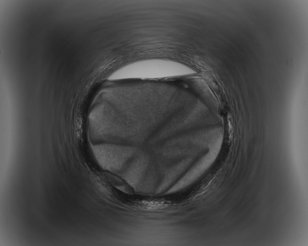 X0000082990693200703020844