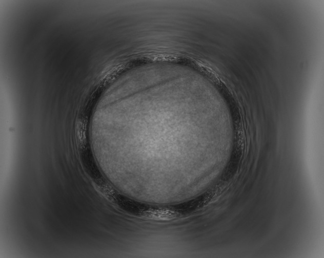 X0000082990695200703020844