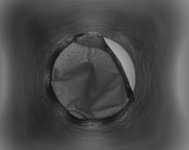 X0000082990697200703020844