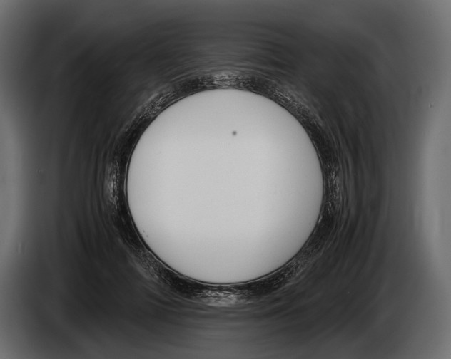 X0000082990698200703020844