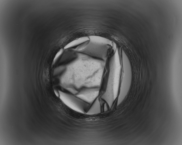 X0000082990700200703020844