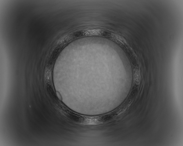 X0000082990701200703020844