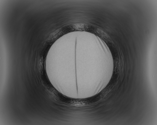 X0000082990702200703020844