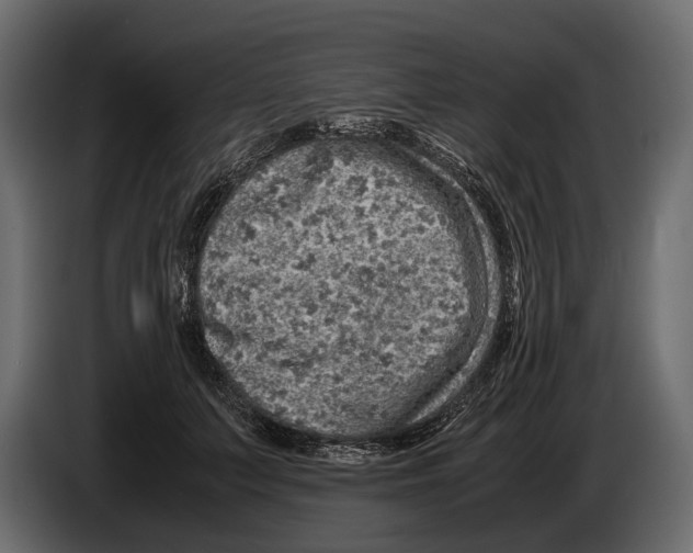 X0000082990703200703020844